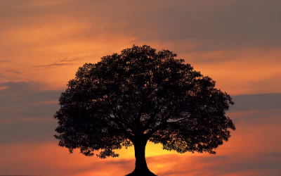 The Roots That Shaped Us, & Who We Are