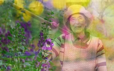 What the “Blue Zones” Tell Us